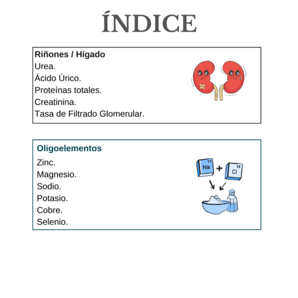 Interpreta tu propia analítica - Imagen 2